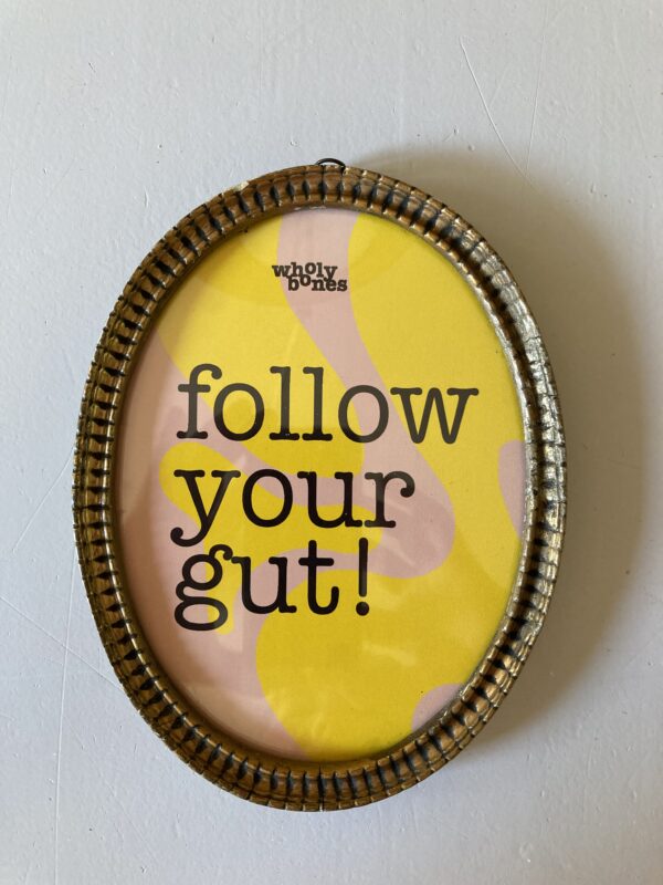 Wholy Bones bottenbouillon schilderij met tekst 'follow your gut'