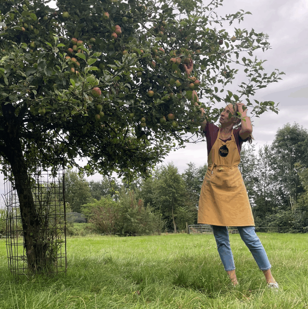 appelboom