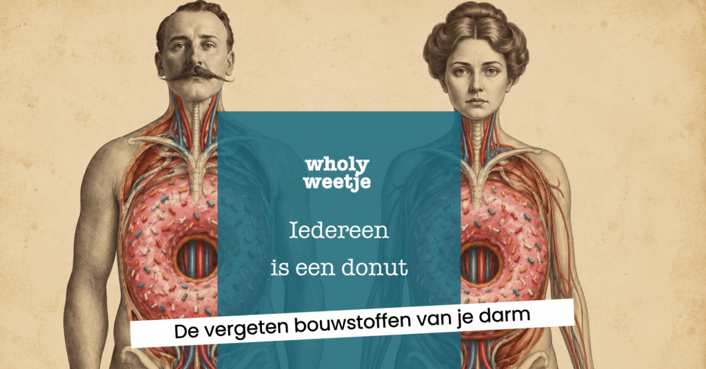 iedereen is een donut de vergeten bouwstoffen van je darm